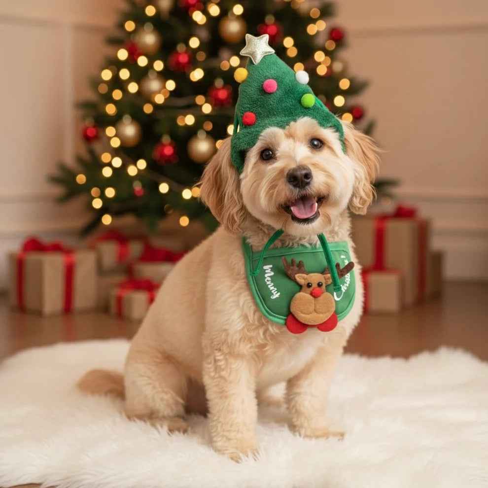 Holiday Pet Outfit ( Hat + Scarf )