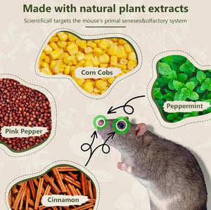 Peppermint Oil Rat Repellent Balls for Home | Pack of 24